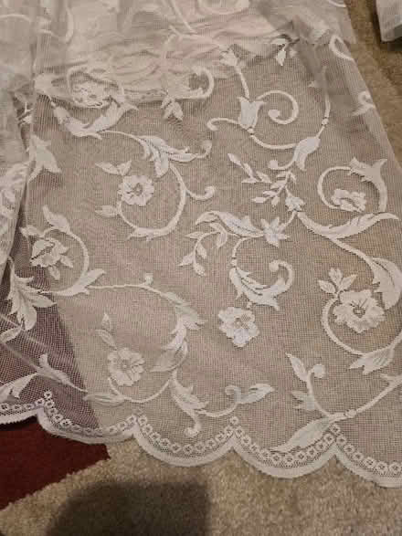 Photo of free Window netting (Luton, Stopsley) #2