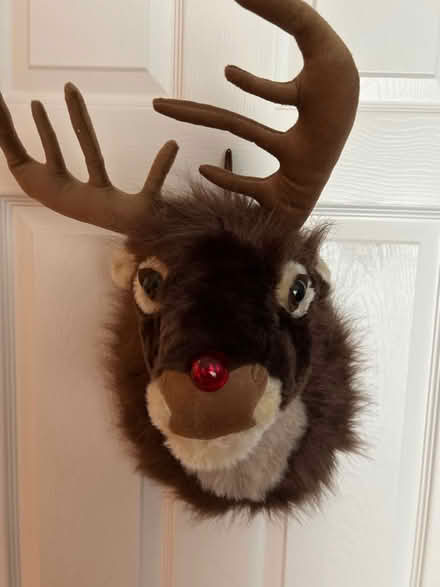 Photo of free Singing reindeer head (Hazel Grove SK7) #1