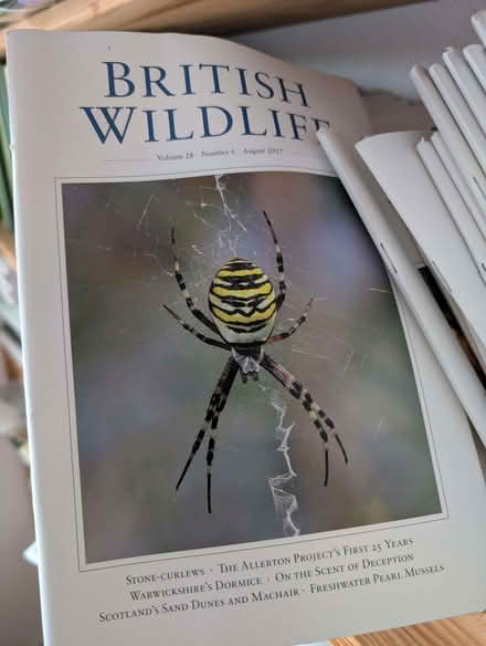 Photo of free British Wildlife Journals (Marsh Barton EX2) #1