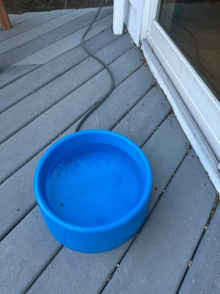 Photo of free Heated outdoor water bowl (belmont/watertown line) #1