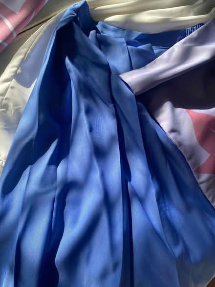 Photo of free Women’s size Medium costume (Ijamsville 21754) #2