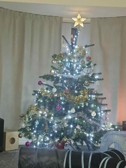 Photo of free 480 bright white led string lights (Leeds LS15) #1