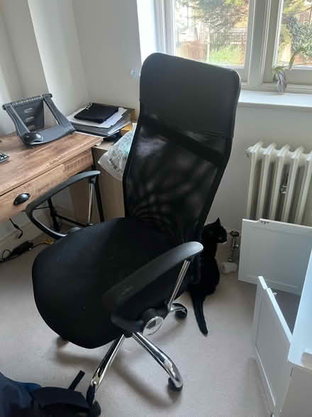Photo of free Office chair (East Dulwich SE22) #1