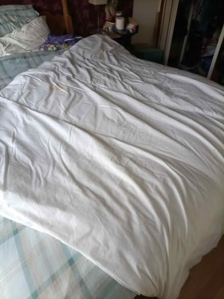 Photo of free Large WARM duvet (Rhayader LD6) #2