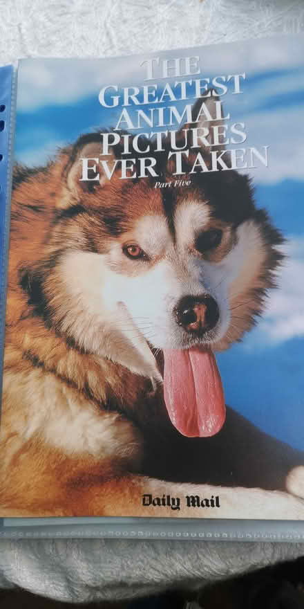 Photo of free 27 Parts Daily Mail Animal Photos (Epsom) #4