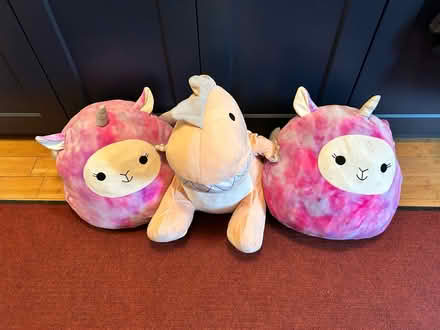Photo of free 3 large teddies (Hazel Grove SK7) #1