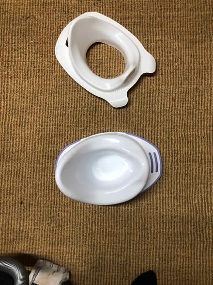 Photo of free Potty and trainer seat (Temple Cowley OX4) #1