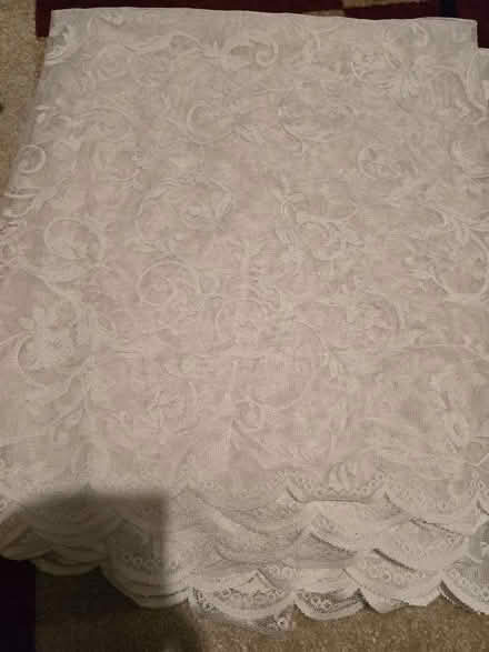 Photo of free Window netting (Luton, Stopsley) #1