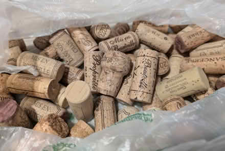 Photo of free Wine and Champagne Corks (Bromley BR2) #1