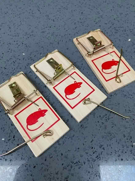 Photo of free Mouse Traps x 3 (Wroxham NR12) #1