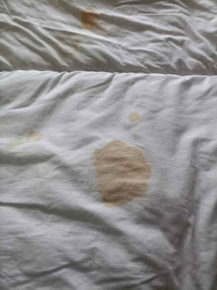 Photo of free Large WARM duvet (Rhayader LD6) #3