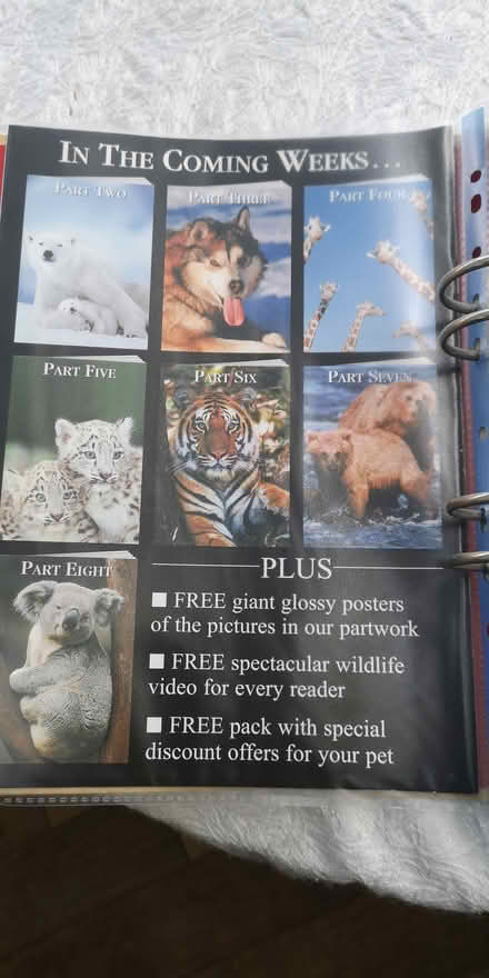Photo of free 27 Parts Daily Mail Animal Photos (Epsom) #2