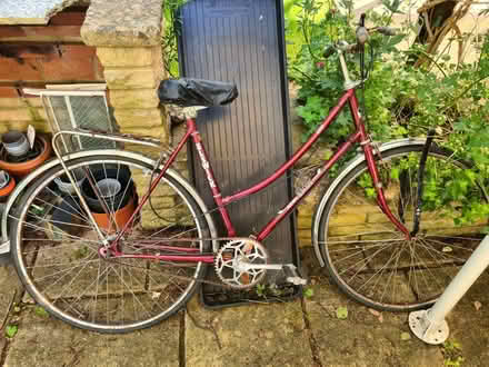 Photo of free Elswick Bicycle (Great Shelford CB22) #1