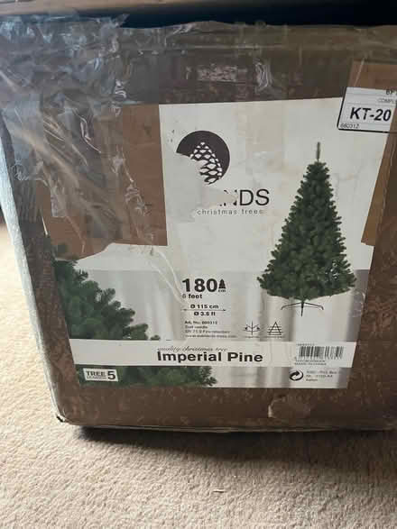 Photo of free Xmas tree (BL8) #1