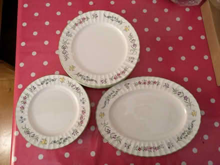 Photo of free Assorted dinner and side plates (Nantmawr SY10) #1