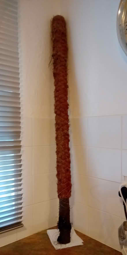 Photo of free Indoor plant support pole (Orton Goldhay) #1