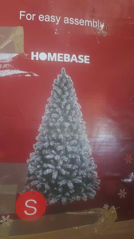 Photo of free 7ft Christmas tree (Havant) #2