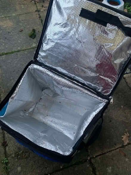 Photo of free Large cooler bag (Clapham MK41) #2