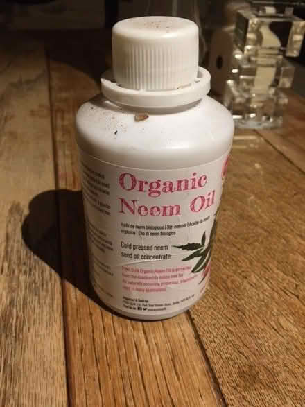 Photo of free Neem oil (Preston Park area BN1) #1