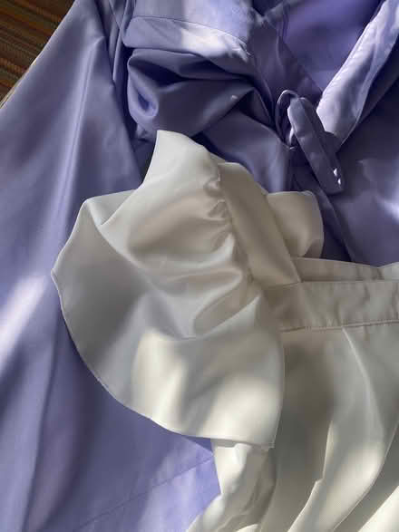 Photo of free Women’s size Medium costume (Ijamsville 21754) #3
