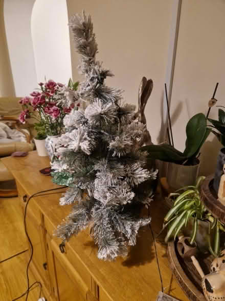 Photo of free Small pre lit battery powered tree (SN2 Cricklade Road) #1