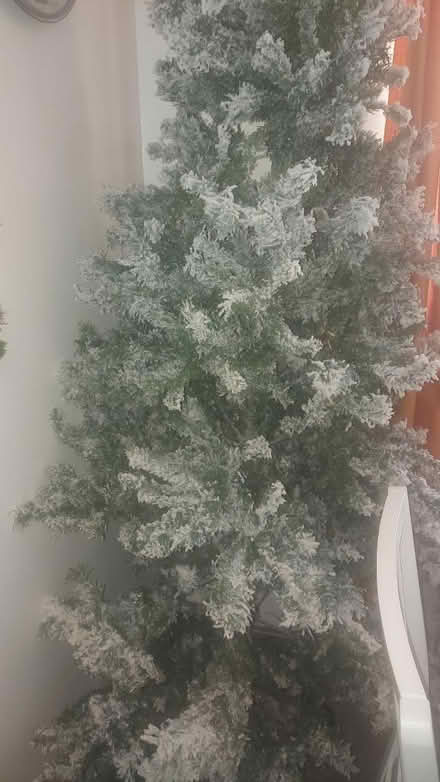 Photo of free 7ft Christmas tree (Havant) #1