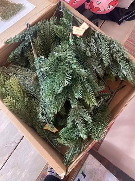 Photo of free Box of greenery (Ijamsville 21754) #1
