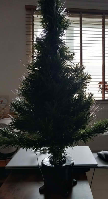 Photo of free Fibre Optic Christmas Tree (Mile Oak BN41) #1