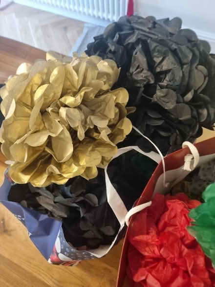 Photo of free Paper Party Pom-Poms (N1 Islington) #2