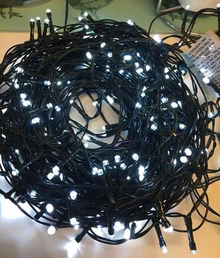 Photo of free Bright white Christmas lights (Peasedown St. John) #1
