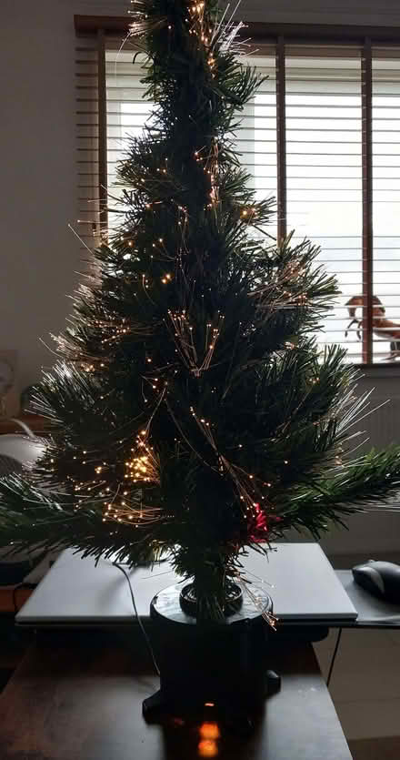 Photo of free Fibre Optic Christmas Tree (Mile Oak BN41) #2