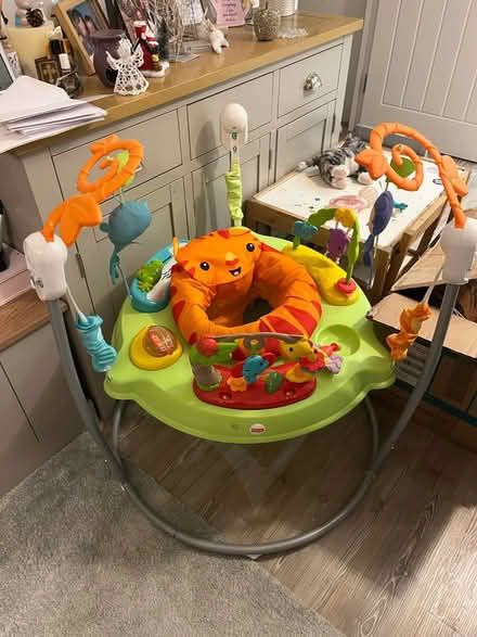 Photo of free Baby bouncer (CM17 Newhall, Harlow) #1