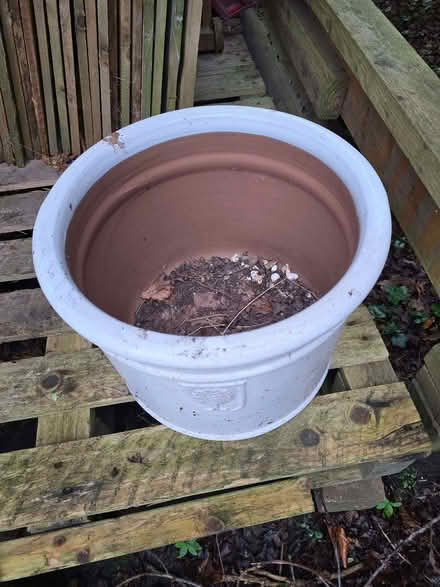 Photo of free 2 Large Outdoor Pots (Crag Bank LA5) #2