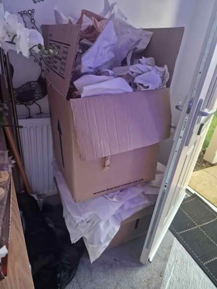 Photo of free Removal strong boxes plus packing (BN27) #1