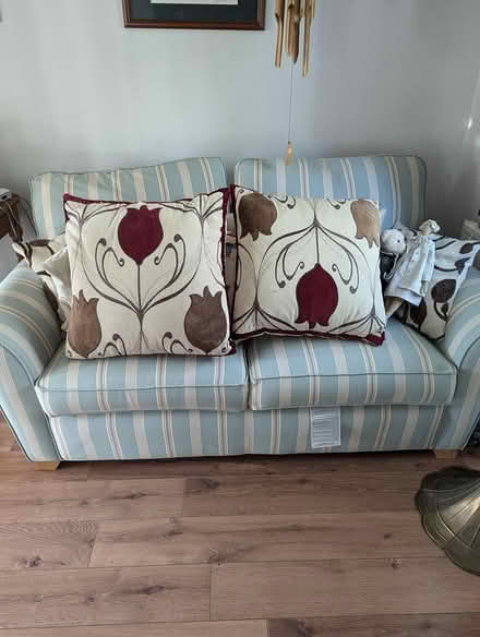 Photo of free 2 extra large feather cushions (Bolton BL1 Heaton) #1