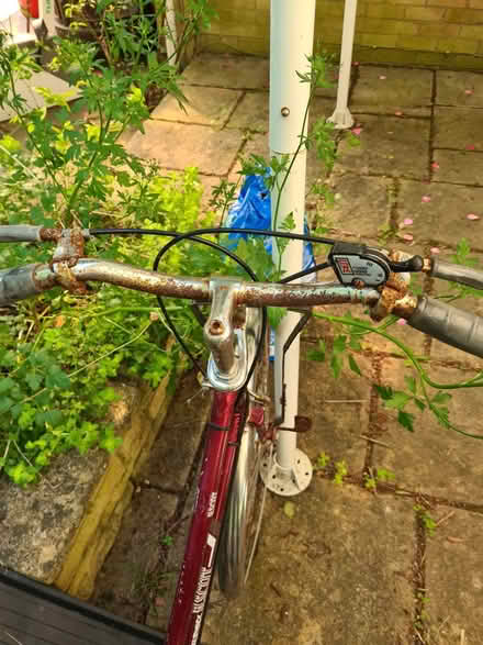 Photo of free Elswick Bicycle (Great Shelford CB22) #2