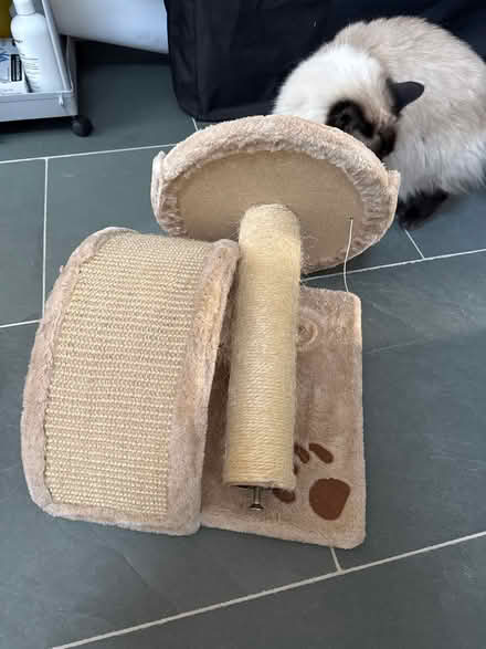 Photo of free Cat scratch post and seat (Hampton TW12) #1