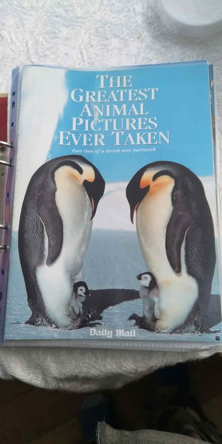Photo of free 27 Parts Daily Mail Animal Photos (Epsom) #1