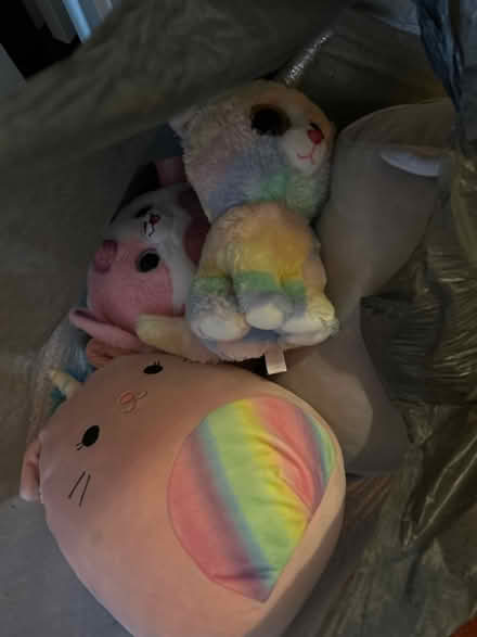 Photo of free Bag of teddies (Hazel Grove SK7) #1