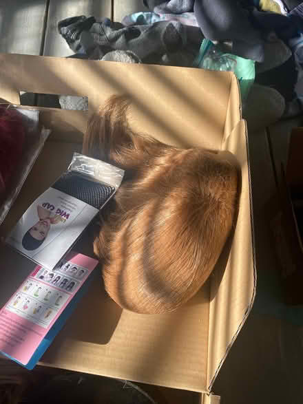 Photo of free Box of wigs (Ijamsville 21754) #3