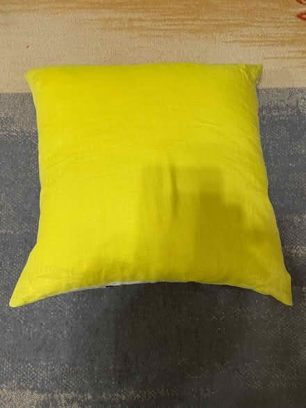 Photo of free One Pillow (Ilford IG1) #3