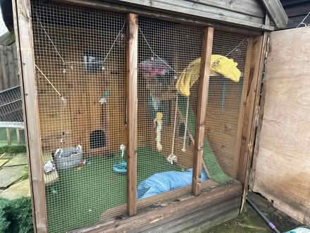 Photo of free Small Animal Enclosure (SK13) #2