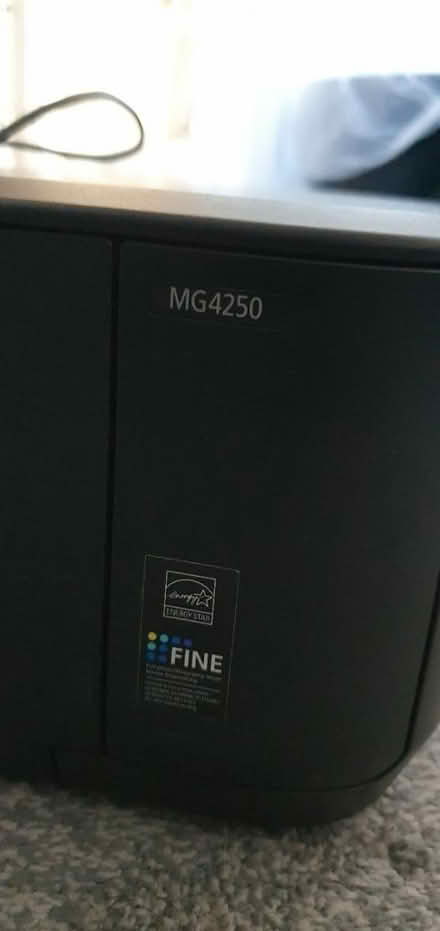 Photo of free Canon printer MG4250 (Plaistow E13) #2