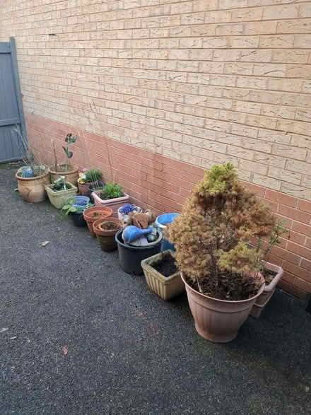 Photo of free Plant pots (Ackworth) #1