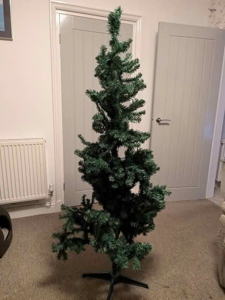 Photo of free Artificial Christmas Tree (Newcastle Under Lyme) #1