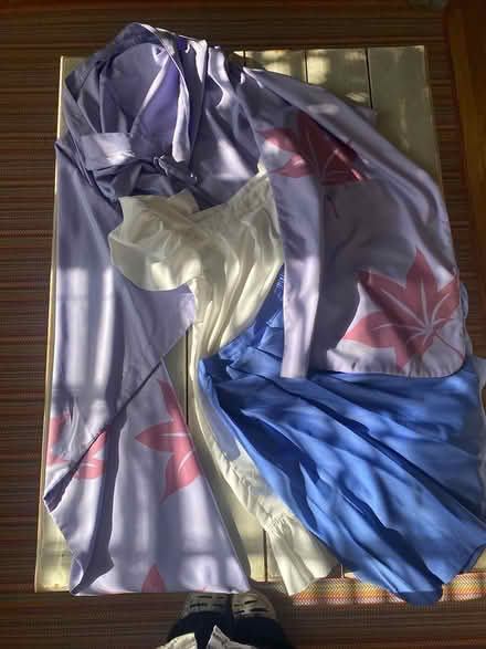Photo of free Women’s size Medium costume (Ijamsville 21754) #1