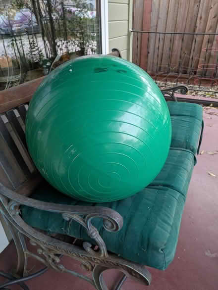 Photo of free Yoga ball (San Carlos Flats) #1