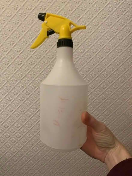 Photo of free Spray bottle (North Shields NE30) #1