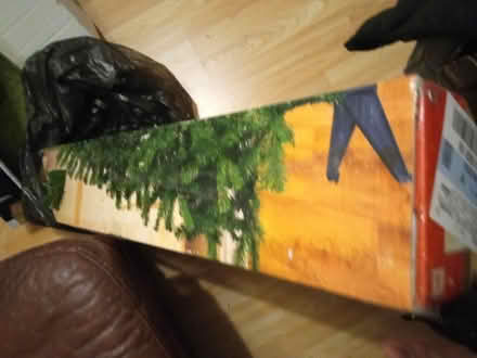 Photo of free Christmas tree (Sutton Manor WA8) #1