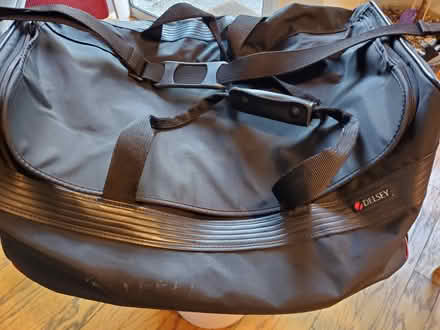 Photo of free Delsey Duffle (Fremont, near downtown BART) #1
